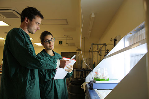 Two staff members looking at chemical engineering experiment