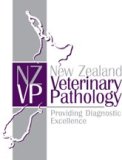 NZVP logo