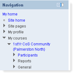 Stream navigation block example