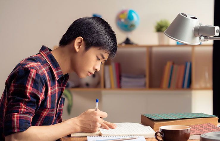 Student studying at home