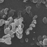 Mrs Lynn Rogers staff profile picture