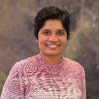 Ms Niluka Velathanthiri staff profile picture